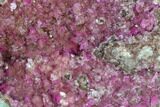 Cobaltoan Dolomite Crystal Cluster - Kakanda, Congo #128379-1